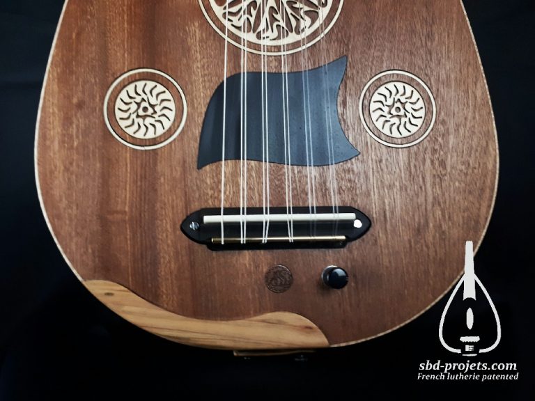 Electric silent oud maho arabic music player hetham deeb najarian - BRIDGE~1