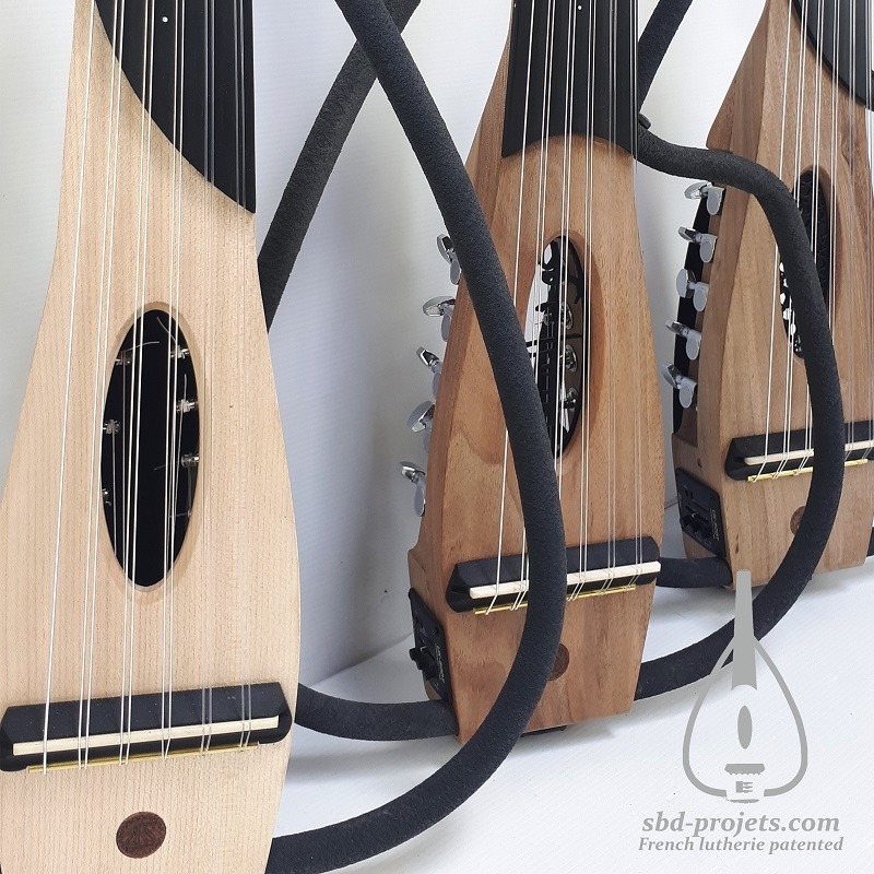 sylen oud electric arabic luthier 3 model rosace comp